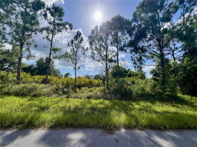 Port Charlotte Waterway Lakes Area Lot For Sale in Port Charlotte Florida