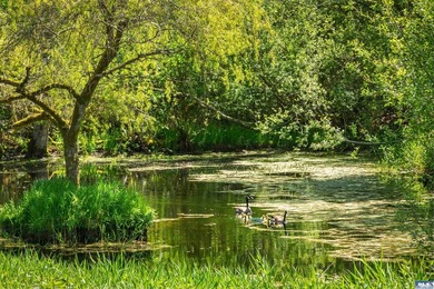 From the water's edge to the summit above, this rare 10-acre - photo 36