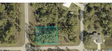 Lehigh Acres Area Lot For Sale in Lehigh Acres Florida