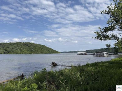 This is a hard one to find, so don't wait! 27+/- acres of - photo 1