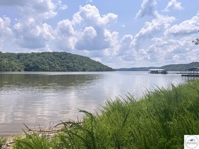 This is a hard one to find, so don't wait! 27+/- acres of - photo 3
