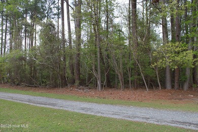 Double lot in waterfront community ready for you to call home - photo 8