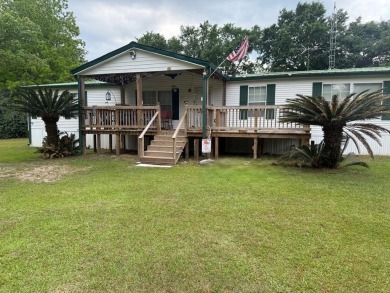 Lake Home For Sale in Abbeville, Alabama