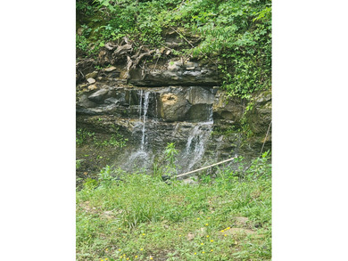 25 Unrestricted Acres in the SWHS School District! A true rare - photo 2