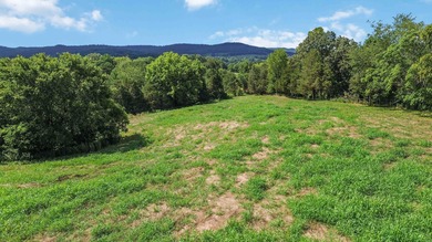 25 Unrestricted Acres in the SWHS School District! A true rare - photo 4