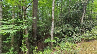 Tucked away in the peaceful private community of Whisper Lake - photo 3