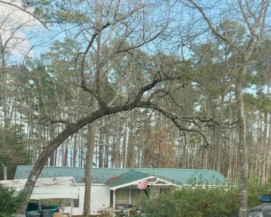 Lake Home For Sale in Abbeville, Alabama