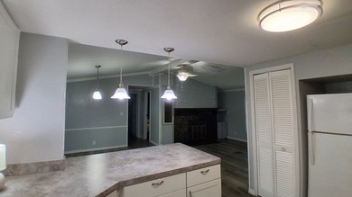 Affordable 3BR/2BA located in the desirable Pinellas Cascades - photo 4