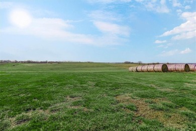 Located on 20+ acres, this property offers usable land - photo 44