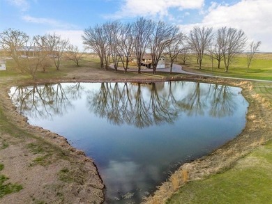 Located on 20+ acres, this property offers usable land - photo 45