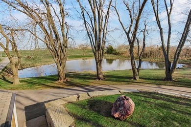 Located on 20+ acres, this property offers usable land - photo 46