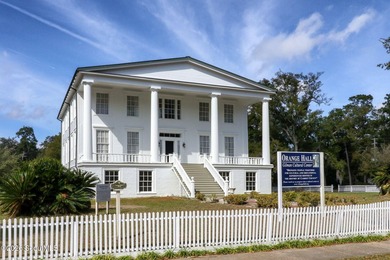 Downtown St. Marys Treasure - A Rare Opportunity You Won't Want - photo 48
