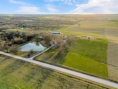 Located on 20+ acres, this property offers usable land - photo 48