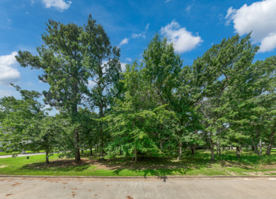 Perfect Lot in Premier Golf Community at Lake Palestine - photo 12