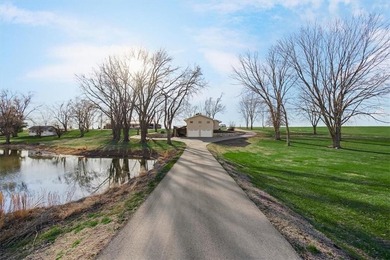 Located on 20+ acres, this property offers usable land - photo 50