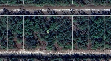 Lake Weohyakapka Lot Sale Pending in Indian Lake Estates Florida