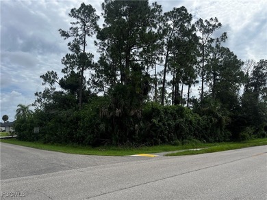 Lehigh Acres Area Lot For Sale in Lehigh Acres Florida