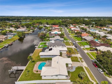 Keene Lake Home Sale Pending in Clearwater Florida