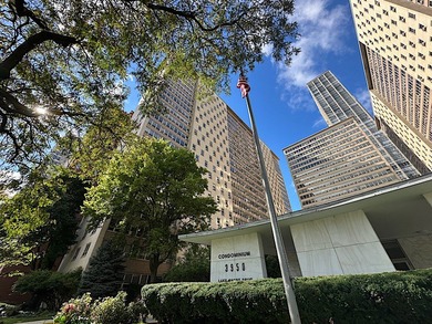 Lake Michigan - Cook County Condo For Sale in Chicago Illinois