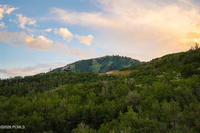 Experience the pinnacle of mountain living in this impeccably - photo 1