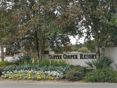 DREAM HOMESITE ON LAKE MARION COVE. FISH FROM YOUR OWN DOCK. 1 - photo 1