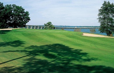 DREAM HOMESITE ON LAKE MARION COVE. FISH FROM YOUR OWN DOCK. 1 - photo 4