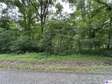 Taylorsville Lake Lot For Sale in Bloomfield Kentucky