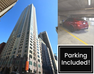 Lake Michigan - Cook County Condo For Sale in Chicago Illinois