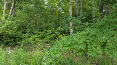 Some properties invite you to slow down and this is one of them! - photo 6