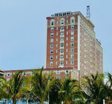Welcome to the historic Ritz condominiums! Just steps from the - photo 1