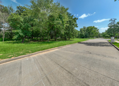 Perfect Lot in Premier Golf Community at Lake Palestine - photo 9