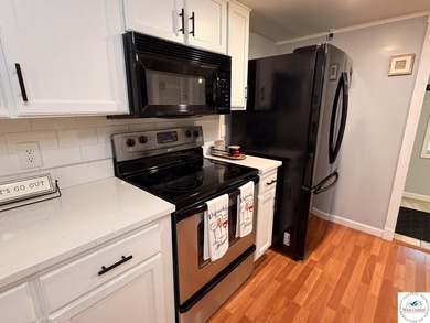 Experience lakefront living at its finest in this spacious - photo 9