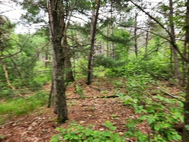 Petenwell Lake  Acreage For Sale in Nekoosa Wisconsin