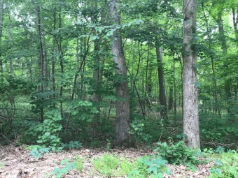 Lake Lot Off Market in Clinton, New York