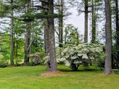 *The Pines*, qualifies for High Hampton membership: This 1950's - photo 6