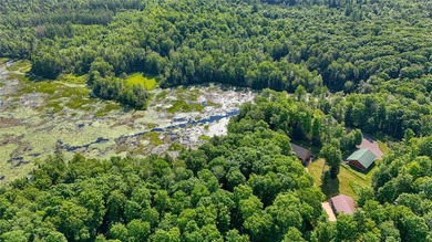 Build your Northwoods getaway on this beautiful waterfront lot - photo 3