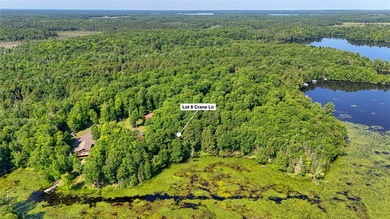 Build your Northwoods getaway on this beautiful waterfront lot - photo 5