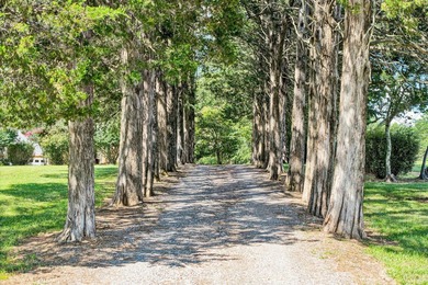 Welcome to Cedar Hall Farm! This 1918 beauty has been restored - photo 55