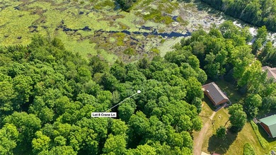 Build your Northwoods getaway on this beautiful waterfront lot - photo 6
