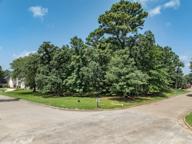 Perfect Lot in Premier Golf Community at Lake Palestine - photo 11