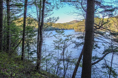 Lake Lot For Sale in Murphy, North Carolina
