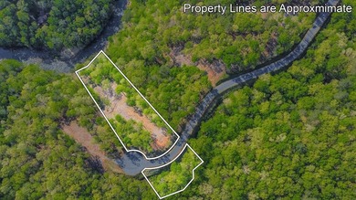Carters Lake Acreage For Sale in Talking Rock Georgia