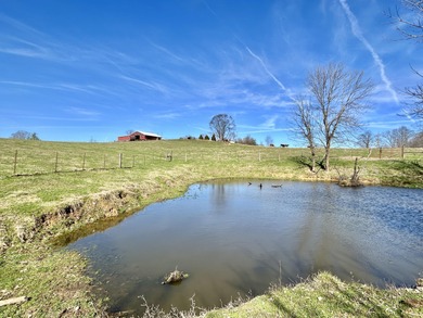 Lake Cumberland Acreage For Sale in Nancy Kentucky