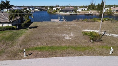 Oversized Gulf access lot with intersecting 250 ft canal view - photo 6