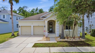 Lake Nona Area Home For Sale in Orlando Florida