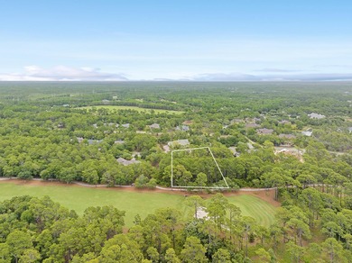 Build Your Dream Estate on Nearly an Acre in Wild Heron Nearly a - photo 3