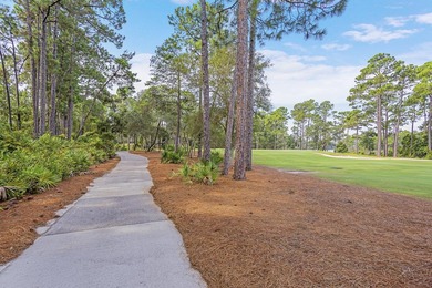 Build Your Dream Estate on Nearly an Acre in Wild Heron Nearly a - photo 6