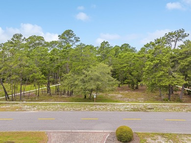 Build Your Dream Estate on Nearly an Acre in Wild Heron Nearly a - photo 7