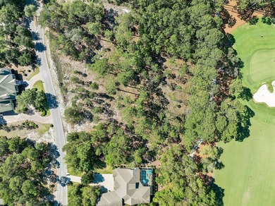Build Your Dream Estate on Nearly an Acre in Wild Heron Nearly a - photo 9