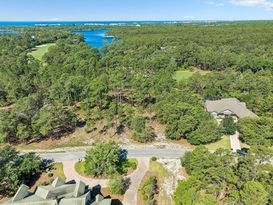 Build Your Dream Estate on Nearly an Acre in Wild Heron Nearly a - photo 10